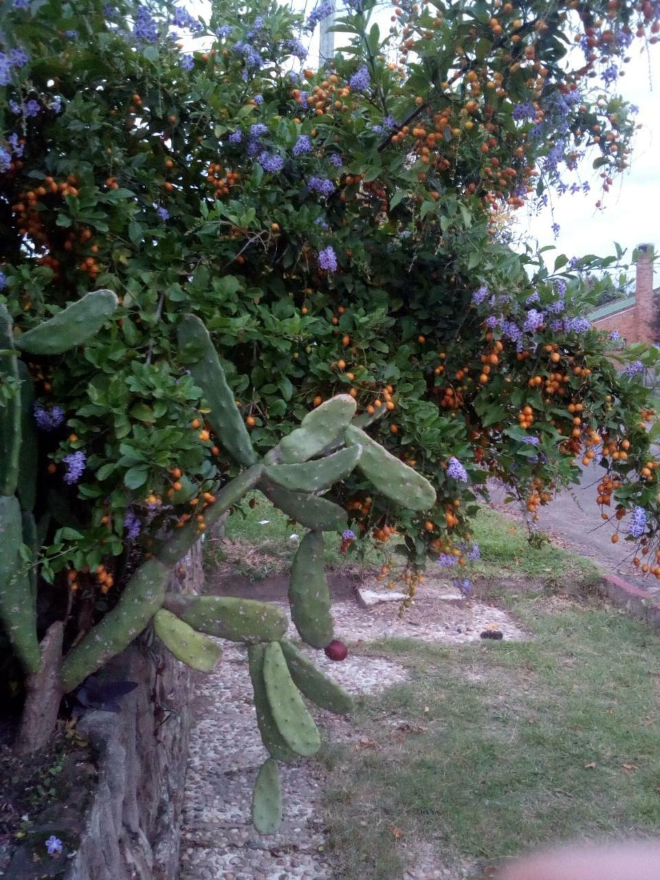 萨尔托Jardines De Don Bosco公寓 外观 照片